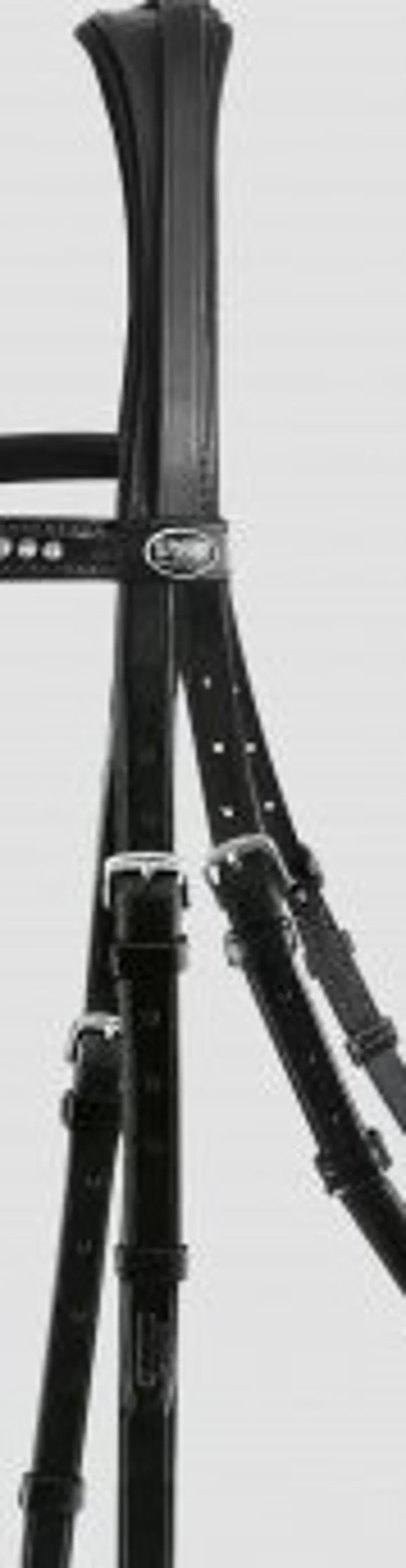 PASSIER Ingrid Klimke Snaffle Headpeice